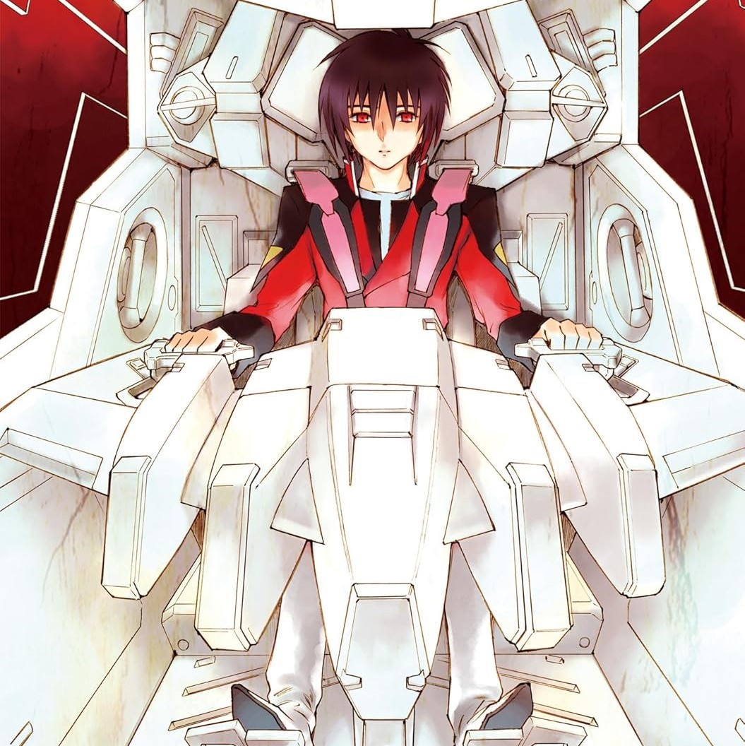 機動戦士ガンダムSEED DESTINY